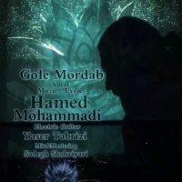 دانلود آهنگ حامد محمدی گل مرداب